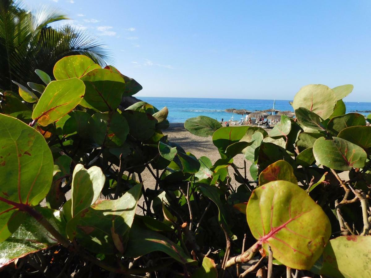 Brisas Del Mar Lejlighed Costa Adeje  Eksteriør billede